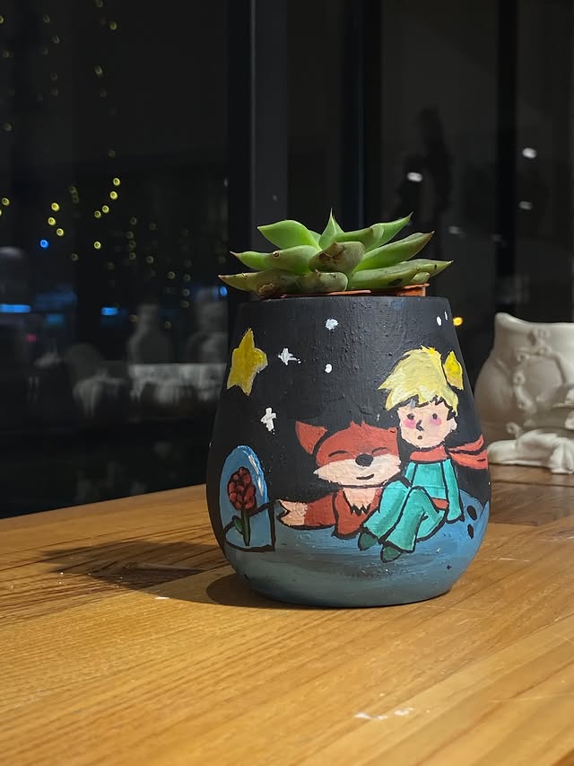 Küçük Prens saksı sukulent